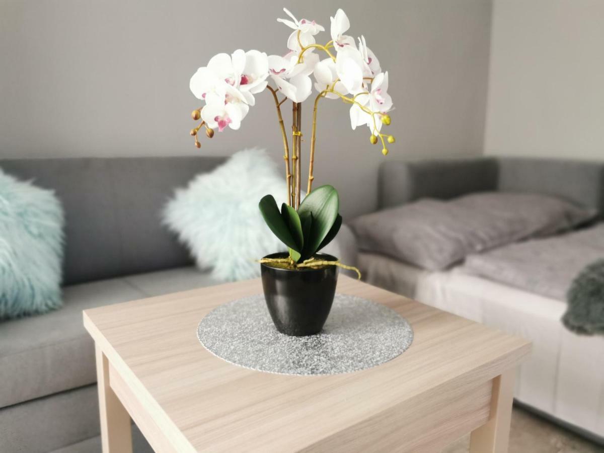 Apartament Gorska 8 - Blisko Centrum Сверадув-Здруй Экстерьер фото